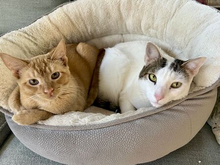 Jasper(L)  with best friend Kiké