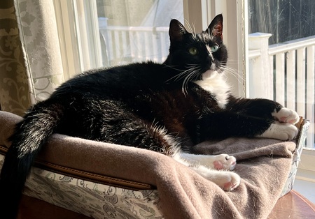 Meela