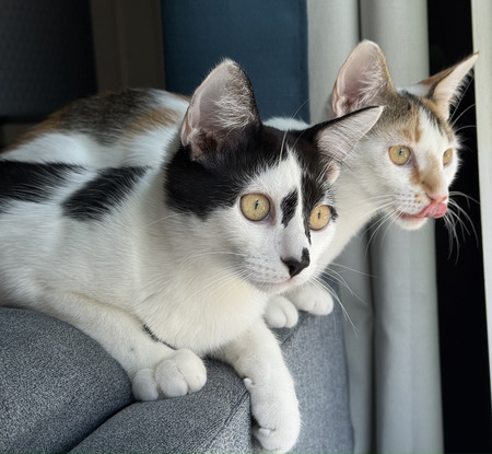 Leo and Élodie