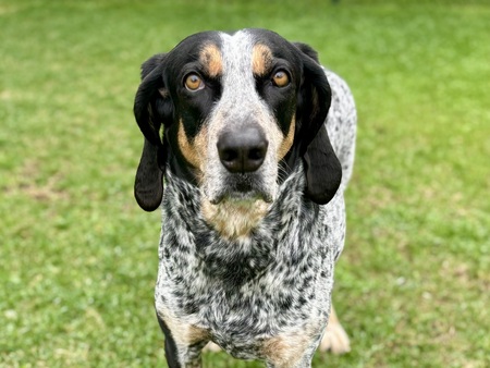 Leroy