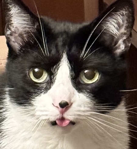 Milo