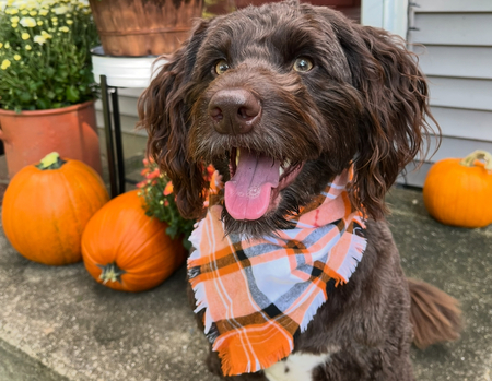 Beesly