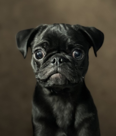 Lucy