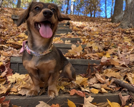 Winnie