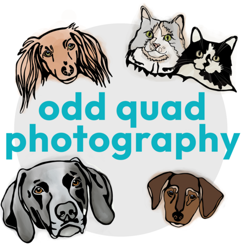 Odd Quad Photography