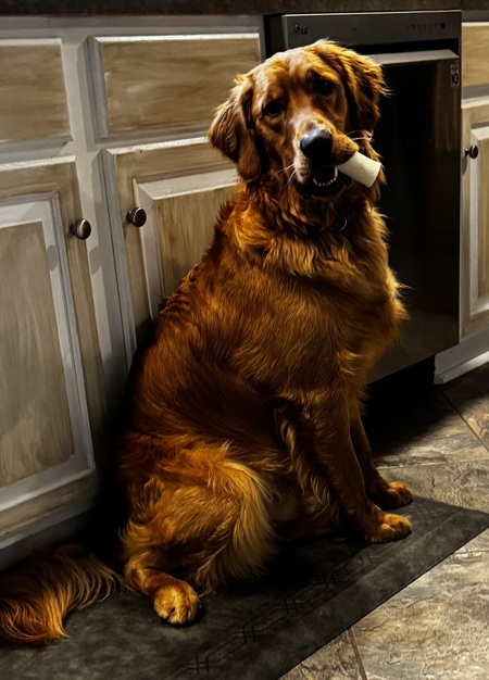 Bodhi