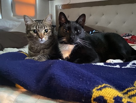 Amy and (Murphy and Rip)