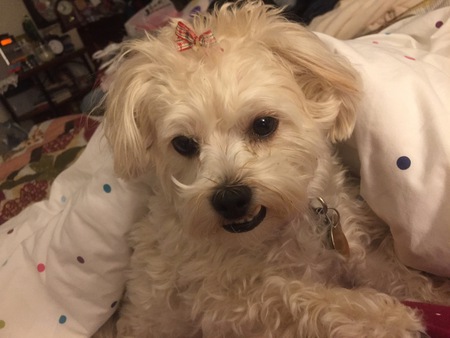 Annie