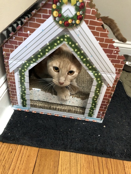 Oliver