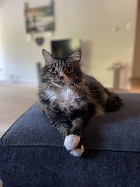 Steve 