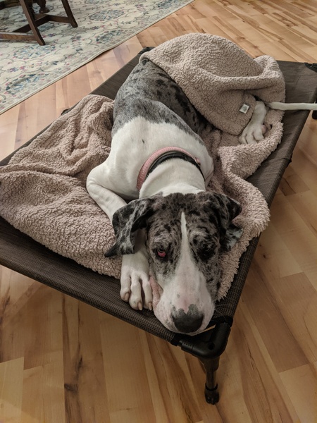 Luna