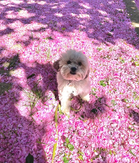 Benny
