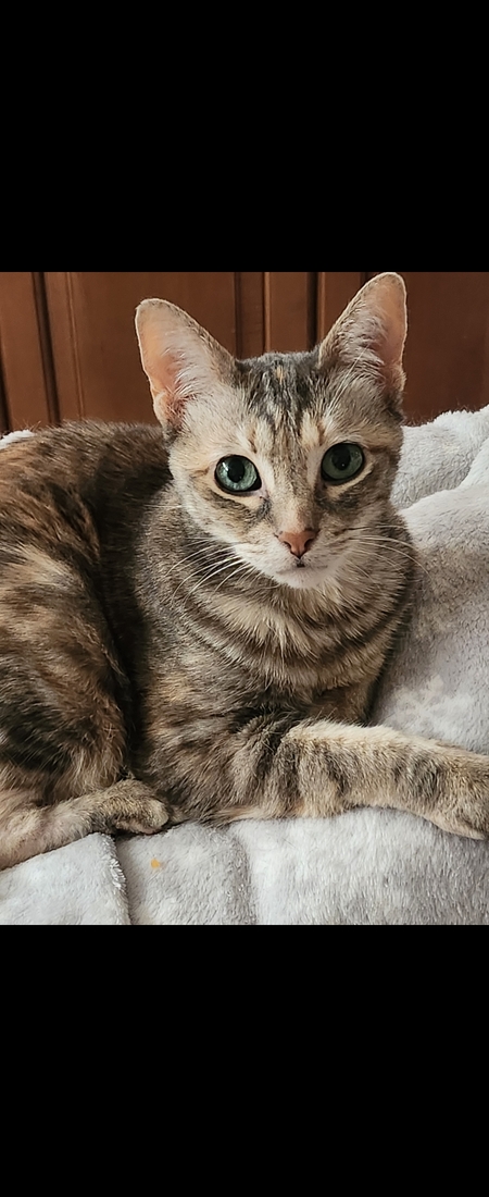 Daisy