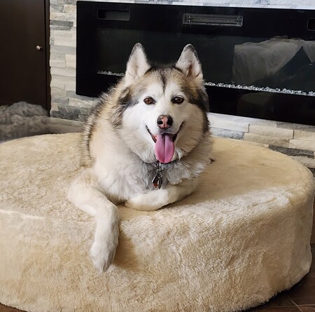 Zoe