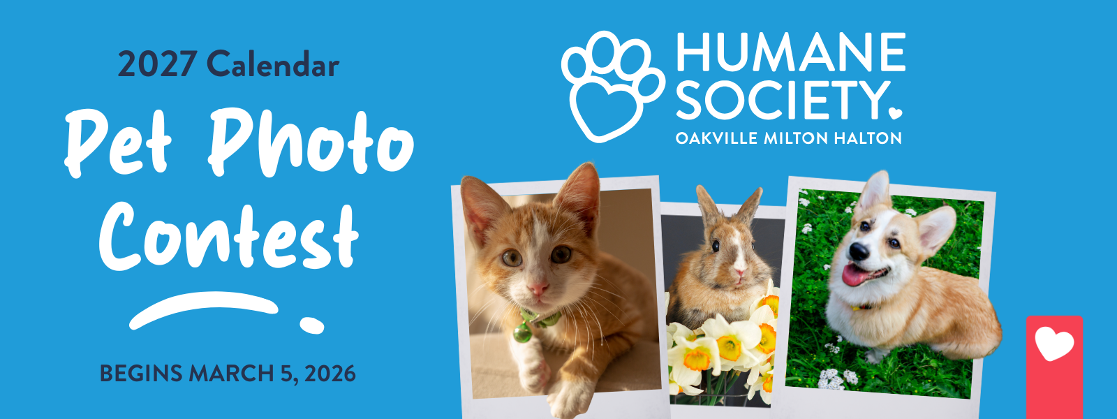 Banner for 2027 Calendar Photo Contest