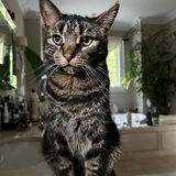 Entry image for Walter