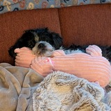 Entry image for Tiabelly Noèlle