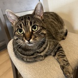 Entry image for Zachary 