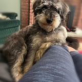 Entry image for Henry 