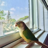 Entry image for Baby