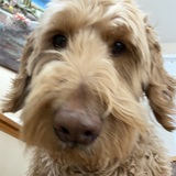 Entry image for Winston