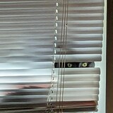 Entry image for Micky Mac KiKi 