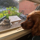 Entry image for Fern Gully