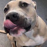 Entry image for Donna