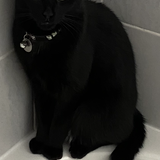 Entry image for Churro