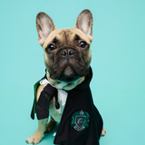 Entry image for Remus