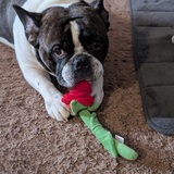 Entry image for Brooklyn 