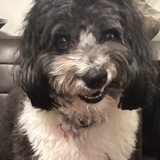 Entry image for Lulu