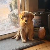 Entry image for Tucker