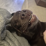 Entry image for Doug