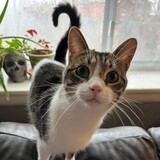 Entry image for Calum