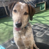 Entry image for Monty