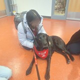 Entry image for Pilot