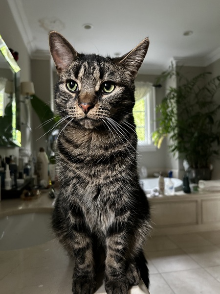 Entry image for Walter. Clicking this image will show a larger photo