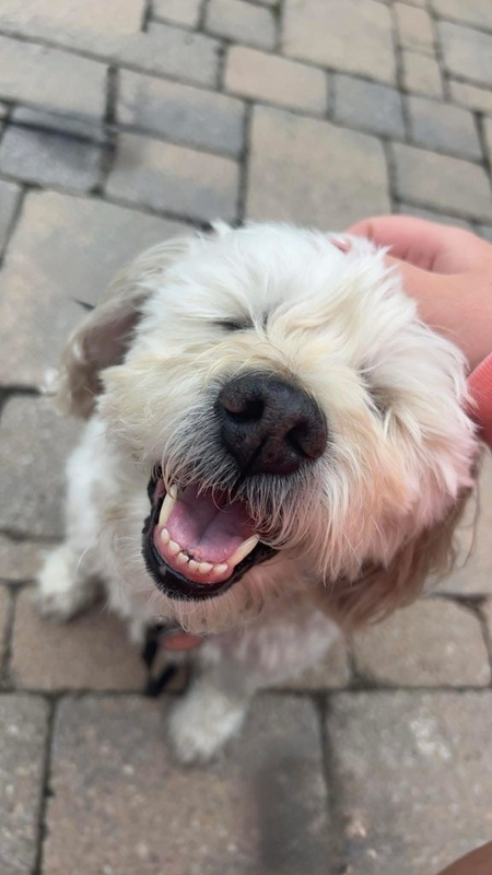 Entry image for Kaylee. Clicking this image will show a larger photo