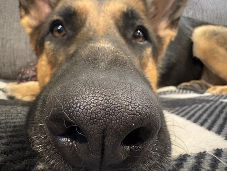 Entry image for Nikki. Clicking this image will show a larger photo