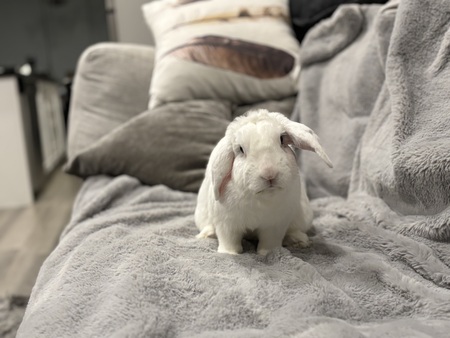 Entry image for Bill. Clicking this image will show a larger photo