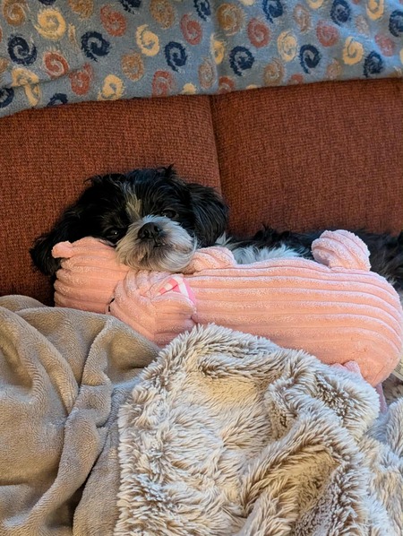 Entry image for Tiabelly Noèlle. Clicking this image will show a larger photo