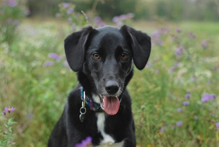 Entry image for Ms. Poe. Clicking this image will show a larger photo