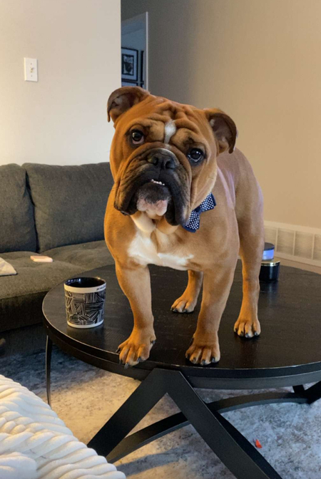 Entry image for George Reginald The First. Clicking this image will show a larger photo