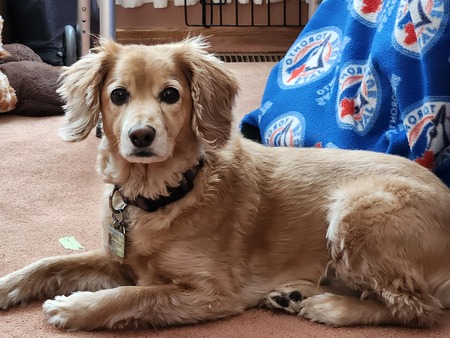 Entry image for Sophie. Clicking this image will show a larger photo