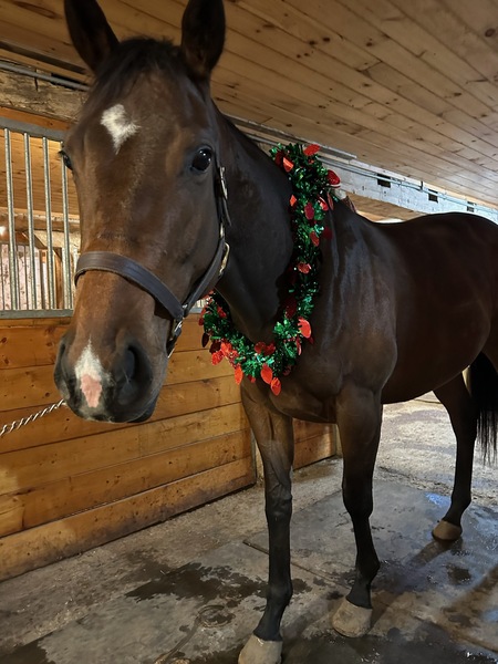 Entry image for Noelle. Clicking this image will show a larger photo