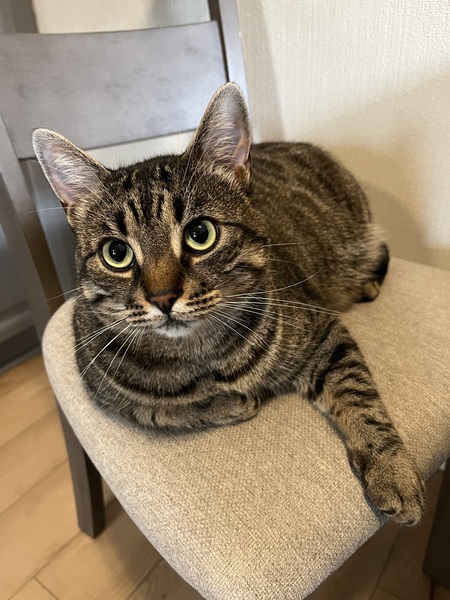 Entry image for Zachary . Clicking this image will show a larger photo