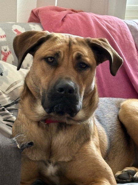 Entry image for Lexi. Clicking this image will show a larger photo