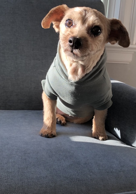 Entry image for Amy. Clicking this image will show a larger photo