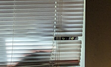 Entry image for Micky Mac KiKi . Clicking this image will show a larger photo